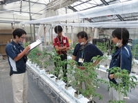 令和5年8月高吾情勢報告