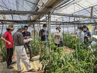 令和６年６月高吾情勢報告