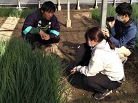 情勢報告12月