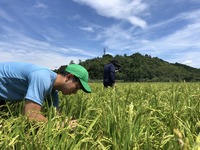 払い落とし調査