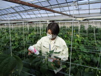 情勢報告２月