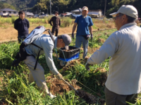 １１月情勢報告