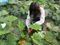 １月情勢報告