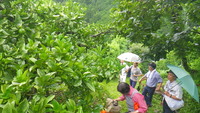 平成27年7月