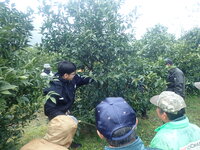 情勢報告3月