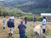 １２月情勢報告
