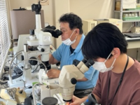 令和４年９月高吾情勢報告