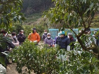 情勢報告2月