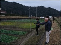 ホウレンソウ先進地視察