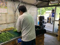情勢報告６月