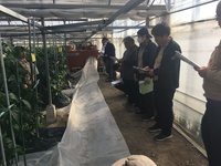 情勢報告3月