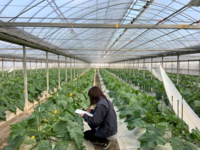 １月情勢報告