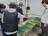 情勢報告12月