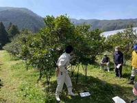 情勢報告４月