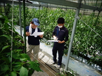 情勢報告8月