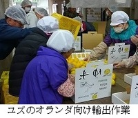 普及活動情勢報告　平成28年11月