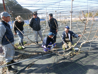普及活動情勢報告1月