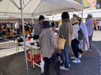 情勢報告11月