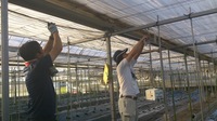 サヤインゲンのハウスに環境測定装置を設置