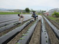 情勢報告５月