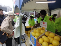 3月情勢方向