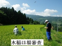 普及活動情勢報告　平成28年８月