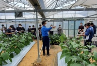 新規就農者現地研修