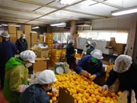 令和4年11月情勢報告