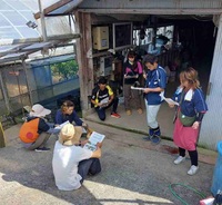 非辛味シシトウに興味津々～中芸地区雨よけシシトウ現地検討会～