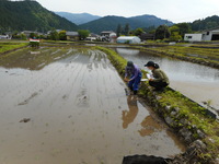 令和4年5月情勢報告