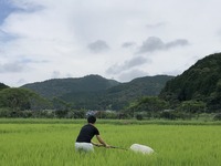 すくい取り調査