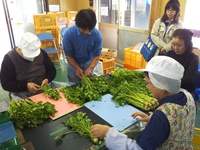 農福連携！農作業を体験