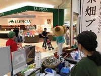 平成３０年７月