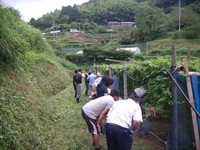 普及活動情勢報告　平成28年8月