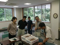 ミョウガ腐敗プロジェクト