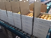 平成２９年６月