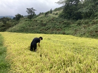 令和３年９月情勢報告