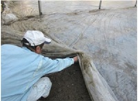 土壌還元消毒の地温測定