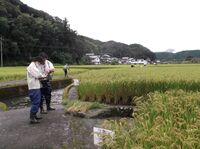 高吾情勢報告令和３年９月