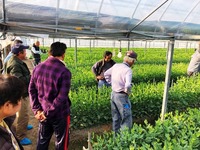 普及活動情勢報告　平成30年12月