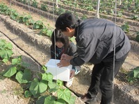 ウイルスの感染を調査中