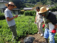 令和5年10月高吾情勢報告