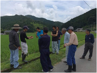 ＪＡ四万十エコ栽培米生産部会６月現地検討会