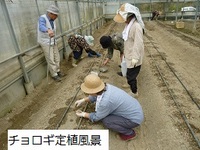 普及活動情勢報告　平成２８年４月