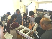 ミョウガ目慣らし会