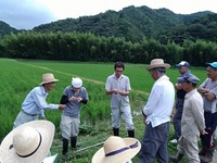 大宮地区酒米現地検討会