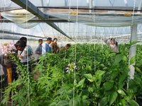 普及活動情勢報告　平成27年12月