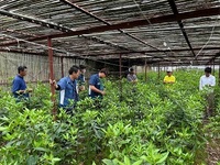 意見交換する参加者