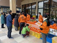 「とさのさと」でのポンカンの販売促進