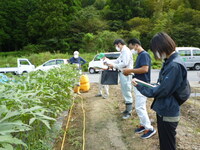 新規就農者ほ場現地確認中